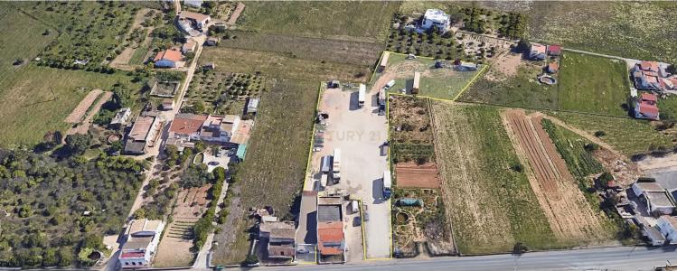 Faro, Faro 8005, Portugal