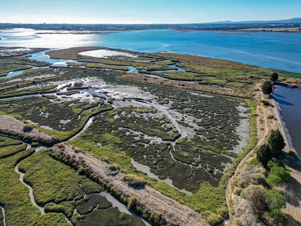 Montijo, 塞圖巴爾 2870-491, 葡萄牙