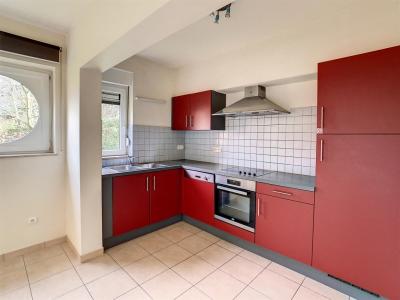 Rue de l'Arsenal 5 003, Pont-à-celles, Belgique