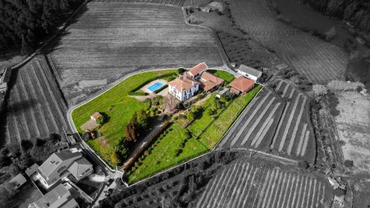 Tondela, Viseu 3460-016, Portugal