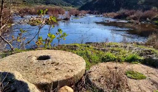 Castelo Branco, Castelo Branco 6060-501, Portugal