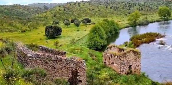 Castelo Branco, Castelo Branco 6060-501, Portugal