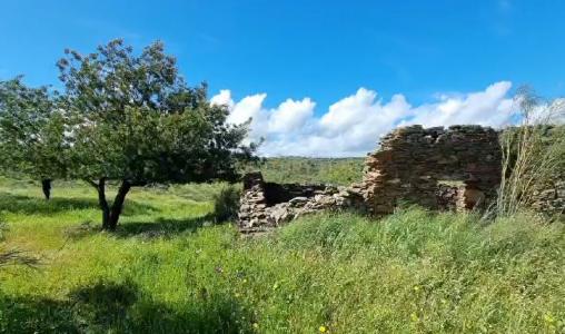 Castelo Branco, Castelo Branco 6060-501, Portugal