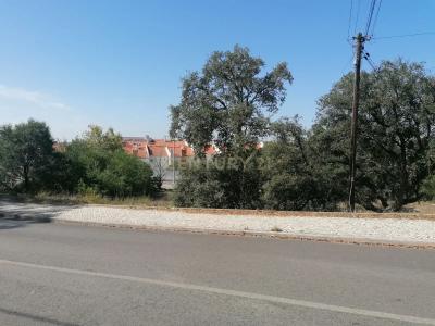 Barreiro, Setubal 2830-222, Portugal