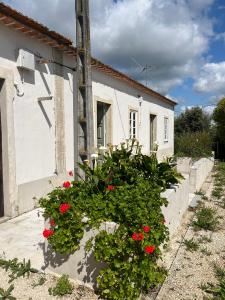 Tomar, سانتاريم 2300-317, البرتغال