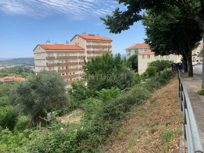 Covilhã, Castelo Branco 6200-165, Portugal