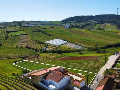 Torres Vedras, Lisbon 2565, Portugal