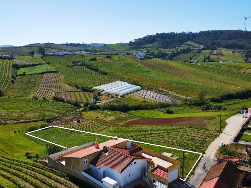 Torres Vedras, Lisbon 2565, Portugal