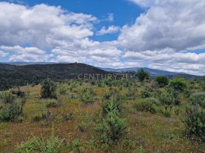 Torres Vedras, Lisbon 2565-842, Portugal