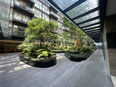 11083  Avenue Polanco Av Horacio 1761  T-F, Miguel Hidalgo, Ciudad De México 11591, Mexico