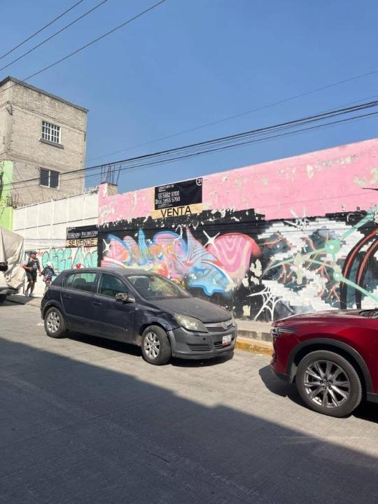 Leopardos 106, Tlalnepantla De Baz, 墨西哥州 54189, 墨西哥