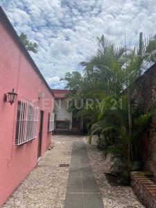 Guillermina 0001, Cuernavaca, モレーロス 62350, メキシコ