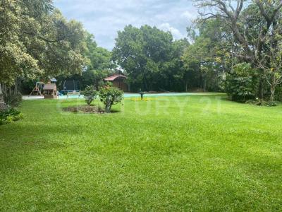 GOBERNADOR JALISCO 001, Cuernavaca, Morelos 62350, Mexique