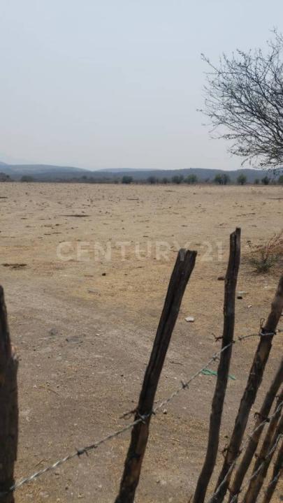 Predio rústico Xacamixtlaco S/N, Jojutla, Morelos 62901, Mexico