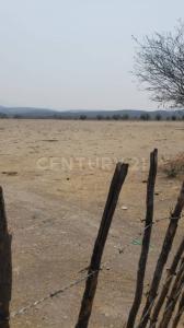 Predio rústico Xacamixtlaco S/N, Jojutla, Morelos 62901, Mexico