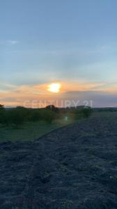 Predio rústico Xacamixtlaco S/N, Jojutla, Morelos 62901, Mexico