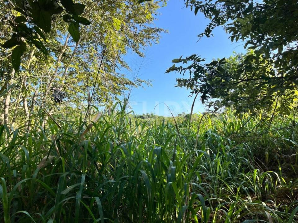 Fracción cinco predio Central Prado S/N, Felipe Carrillo Puerto, ولاية كينتانا رو 77200, المكسيك