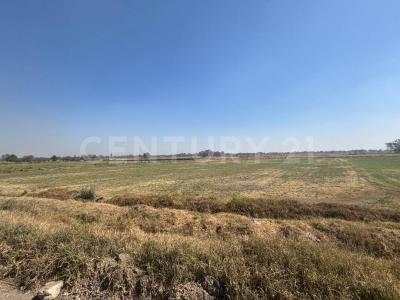 Parcela 222 Z-1 P1/1, Nextlalpan, Estado De México 55790, Mexico