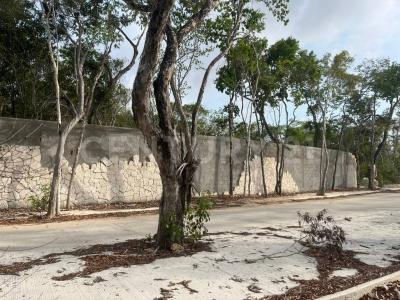 Avenida Coba, UPE 14, Condominio Mondo, Aldea Zama Lote 001-500, Tulum, 金塔纳罗奥 77780, 墨西哥