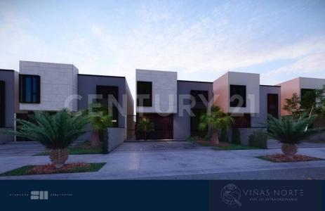 Palmar, Modelo Cabernet entre Rio Fuerte y Rio Presidio, Ahome, Sinaloa 81228, Mexico