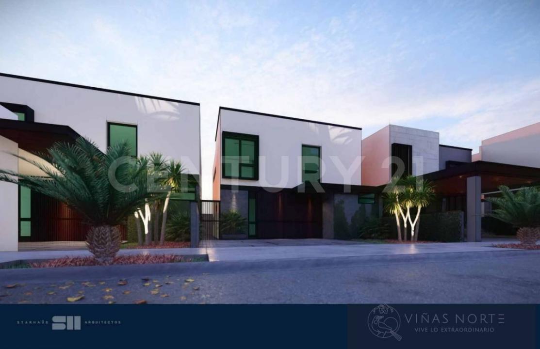 Palmar, Modelo Chardonnay entre Rio Fuerte y Rio Presidio, Ahome, 시날로아 81228, 멕시코