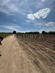 Hidalgo Parcela Número 23, Z-1, P/1, San Juan Del Río, Querétaro 76803, Mexique