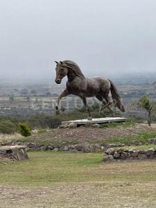 Manzana V, Sección 3 Hacienda Real 1800 Lote 18, Huichapan, Hidalgo 42430, Mexico