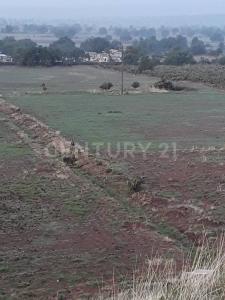 Parcela 226 Z-1 P 5/6, Zempoala, Hidalgo 43836, Messico