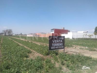 Terreno en Venta 6,535 m2. Ideal para inversionistas ., San Andrés Cholula, Puebla 72840, Mexico