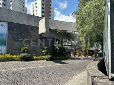 Av. Lomas del Río Poniente Lt. 19, Mz. IX, Naucalpan, メヒコ州 53800, メキシコ