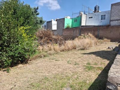 XICOHTENCATL 15, Tlaxcala, Tlaxcala 90110, Messico