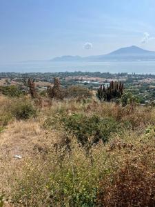 Centurión 7, Jocotepec, Jalisco 45800, Mexico