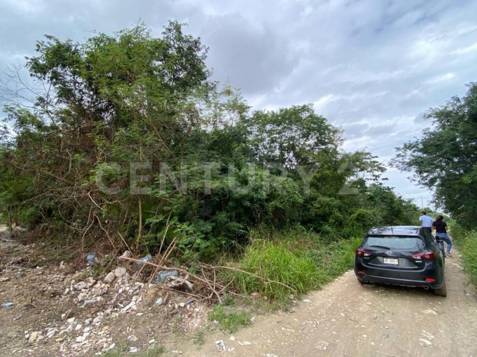 Alfredo V Bonfil TERRENO # 7, Cancún/Benito Juárez, Quintana Roo 77500, Mexico