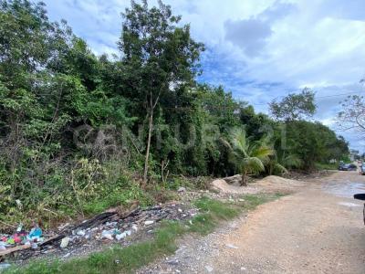 Alfredo V Bonfil TERRENO # 7, Cancún/Benito Juárez, Quintana Roo 77500, Mexico