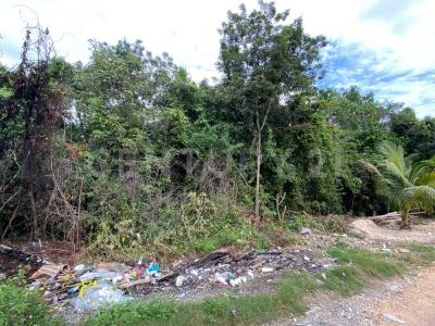 Alfredo V Bonfil TERRENO # 7, Cancún/Benito Juárez, Quintana Roo 77500, Mexico