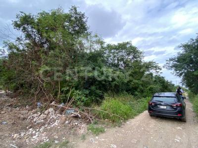 Alfredo V Bonfil TERRENO # 7, Cancún/Benito Juárez, Quintana Roo 77500, Mexico