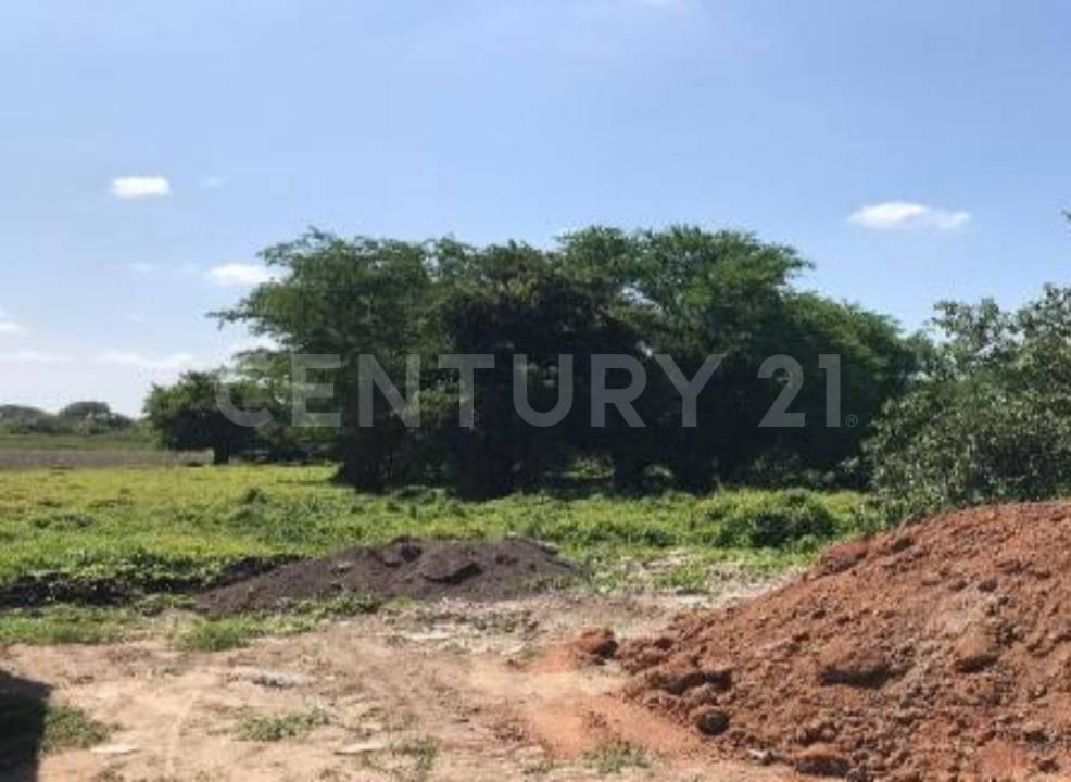 Rafael B Pavon s/n, Panuco, Veracruz 93996, Meksika