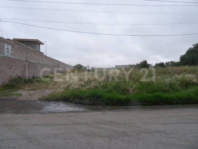 Del Panteón S/N, Tecámac, Estado De México 55760, Mexico