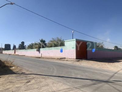 チワワ, チワワ 31380, メキシコ