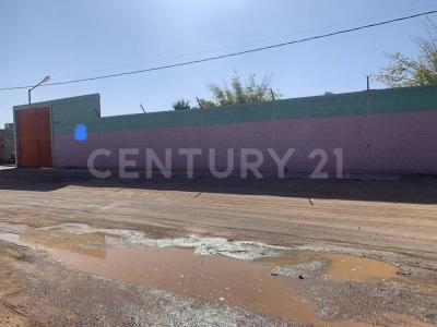 チワワ, チワワ 31380, メキシコ