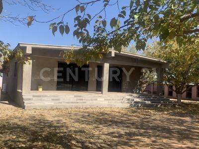 チワワ, チワワ 31380, メキシコ