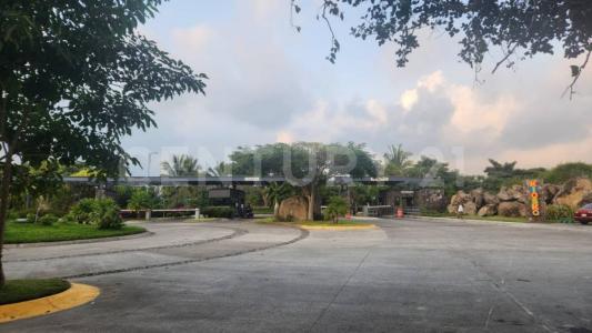 ALTOZANO Jacaranda 88, Cuauhtemoc, Colima 28530, Mexico