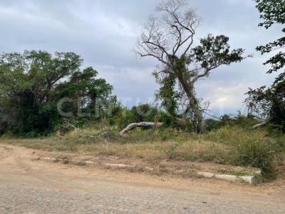 Ex Hacienda la Cañada Manzana 116 Lote 04, Comala, Colima 28450, México