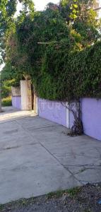 Carretera Xoxocotlan s/n, Puente De Ixtla, Morelos 62670, Mexique