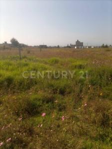 Sin nombre S/N, Zinacantepec, Estado De México 51356, México