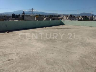 Temascaltepec S/N, Zinacantepec, Estado De México 51367, México