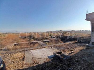 Parcela , Xochitepec, Morelos 62790, Mexico