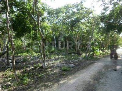 Super Manzana 160 , Cancún/Benito Juárez, Quintana Roo 77544, México