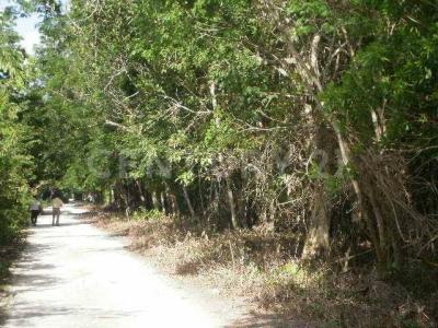 Super Manzana 160 , Cancún/Benito Juárez, Quintana Roo 77544, México