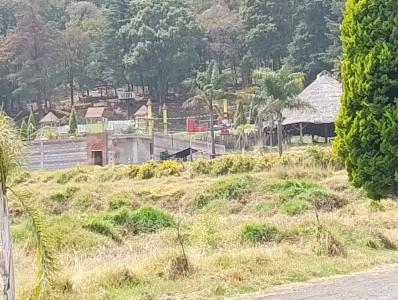 'Almanzingo o Cuautenampa' Carretera México-Cuautla S/N, Tlalmanalco, ولاية مكسيكو 56730, المكسيك